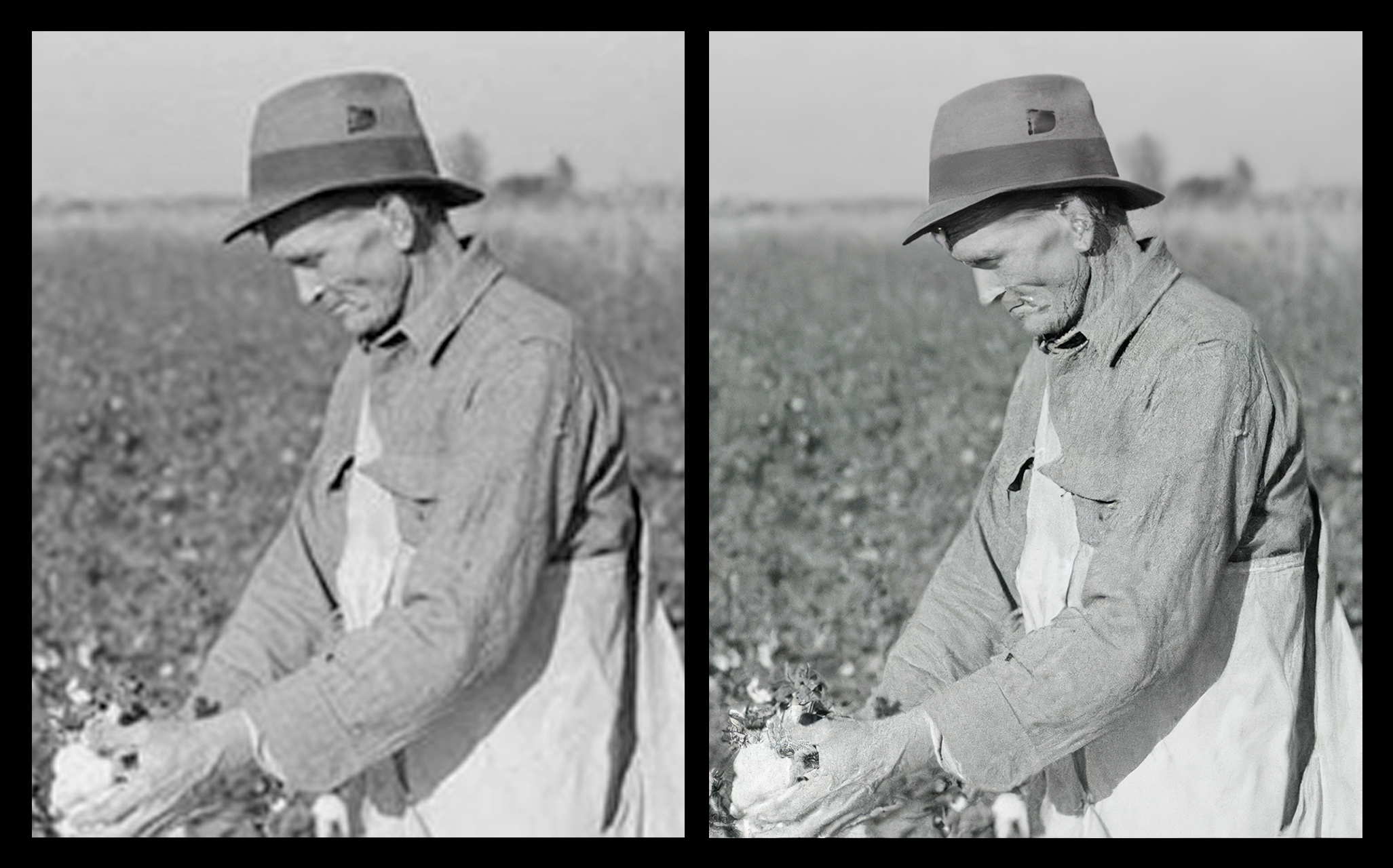 Fig. 1: Upscaled Farmer Photo