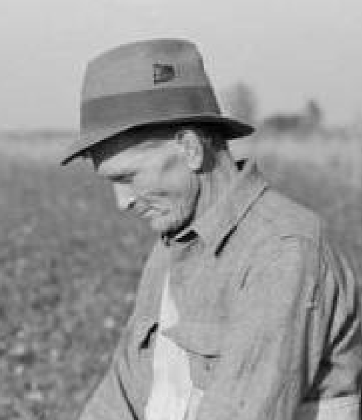 Fig. 3: Pixelated Farmer Photo