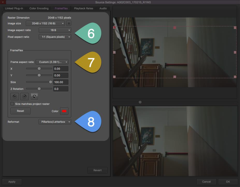 Fig. 1: Avid FrameFlex Settings